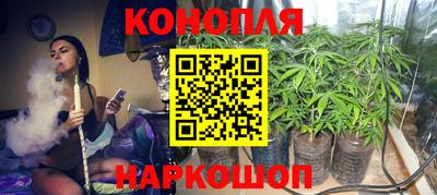 сатива Гусиноозёрск