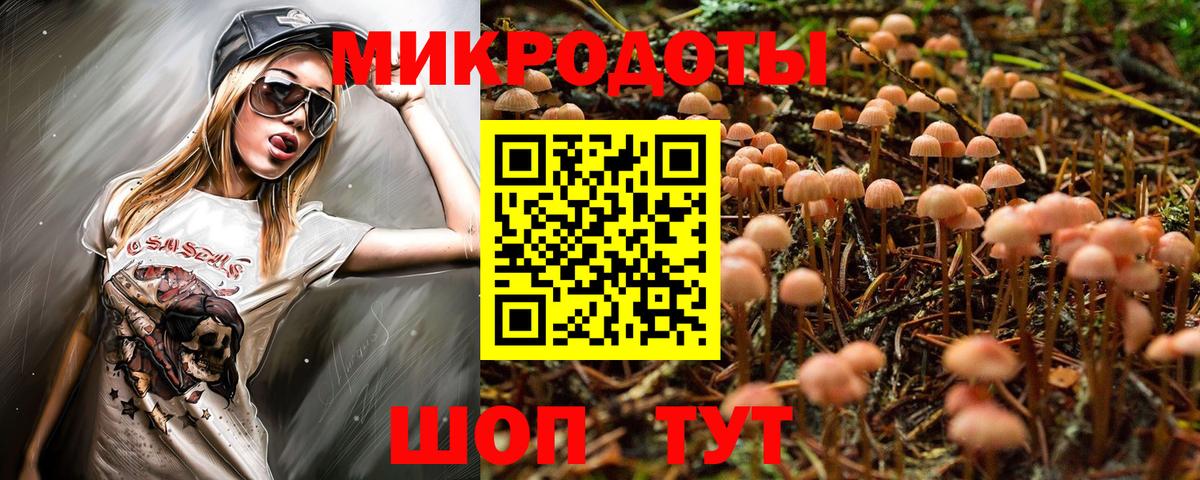 Галлюциногенные грибы Cubensis Лесной