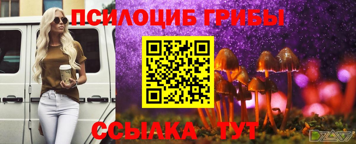 Лесной  Галлюциногенные грибы мухоморы  Вход с VPN 
